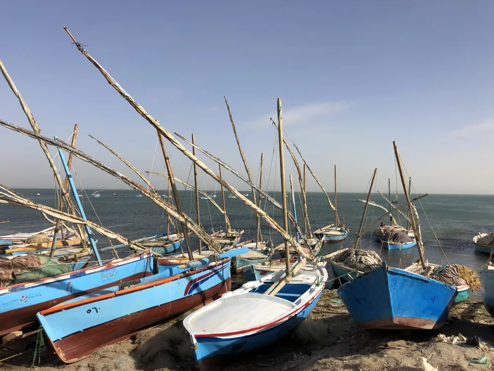 Blue fishing boats on the shore in Egypt