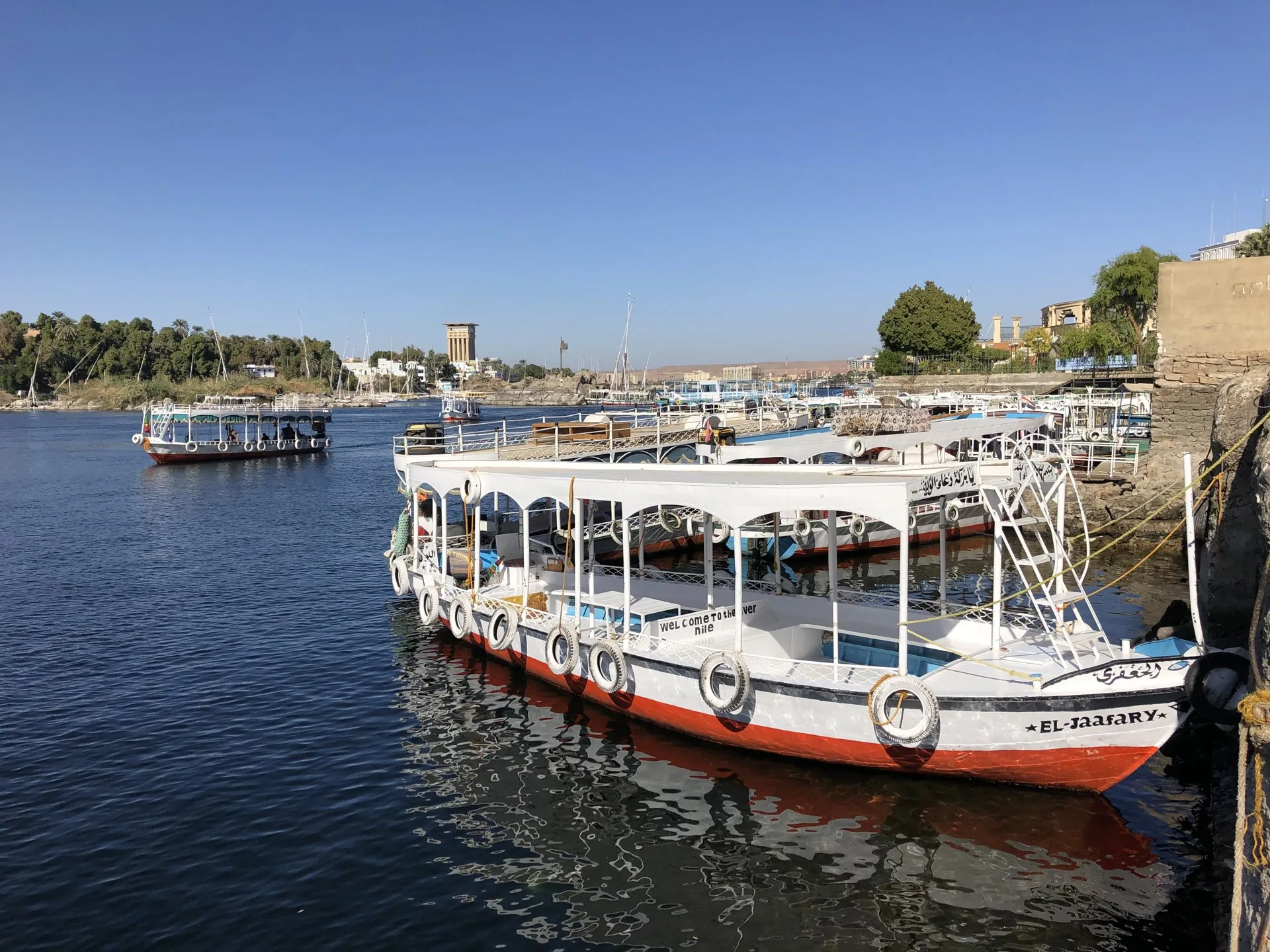 White passenger boats moored beside a riverbank